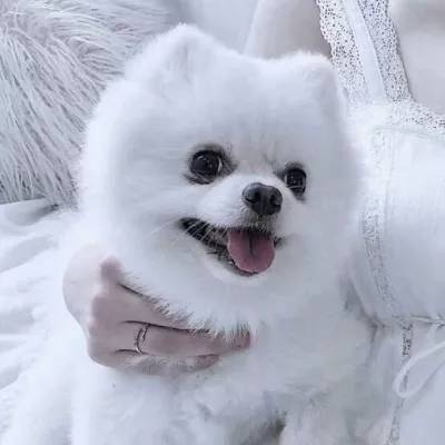 569vip威尼斯游戏